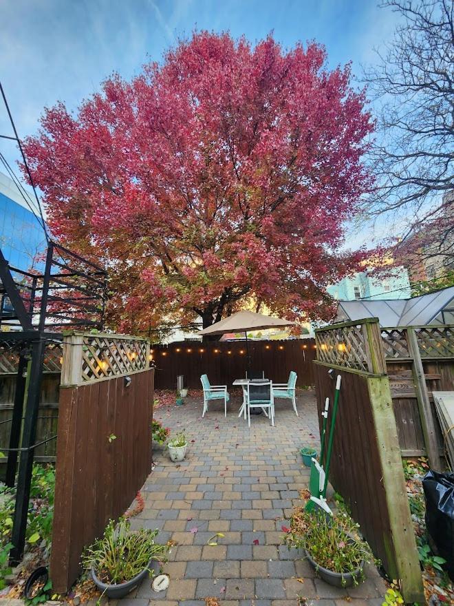 Magnolia Stay Near New York City Jersey City Zewnętrze zdjęcie